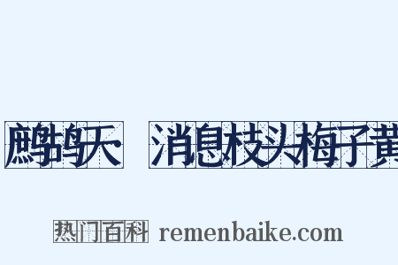 鹧鸪天·消息枝头梅子黄是什么意思的图片